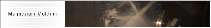 Magnesium Molding｜NEXUS